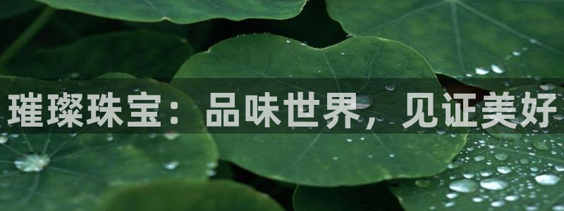 开丰娱乐官网平台下载：璀璨珠宝：品味世界，见证美好