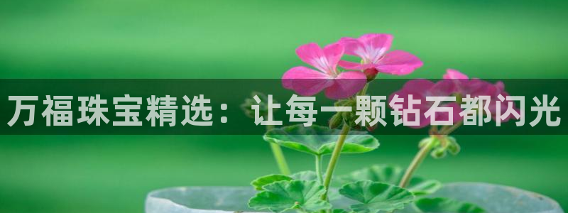 开丰娱乐巾67五壹叁八：万福珠宝精选：让每一颗钻石都闪光