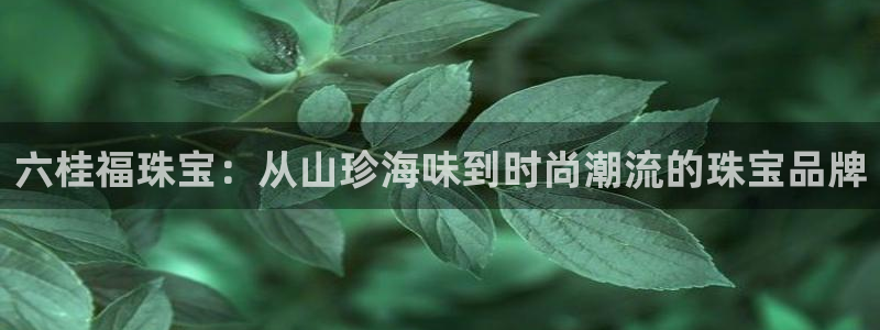 开丰娱乐与六七五一38：六桂福珠宝：从山珍海味到时尚潮流的珠宝品牌