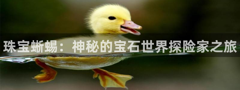 开丰娱乐怎么样：珠宝蜥蜴：神秘的宝石世界探险家之旅