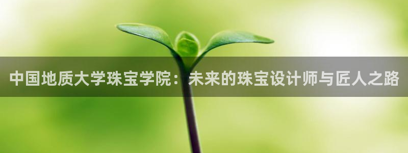 开丰娱乐新登录平台：中国地质大学珠宝学院：未来的珠宝设计师与匠人之路