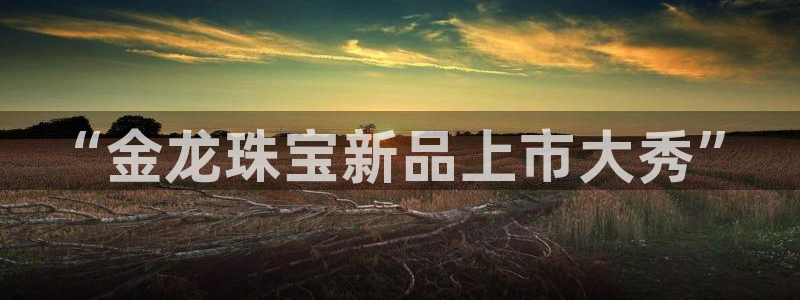 开丰娱乐天7O667：“金龙珠宝新品上市大秀”