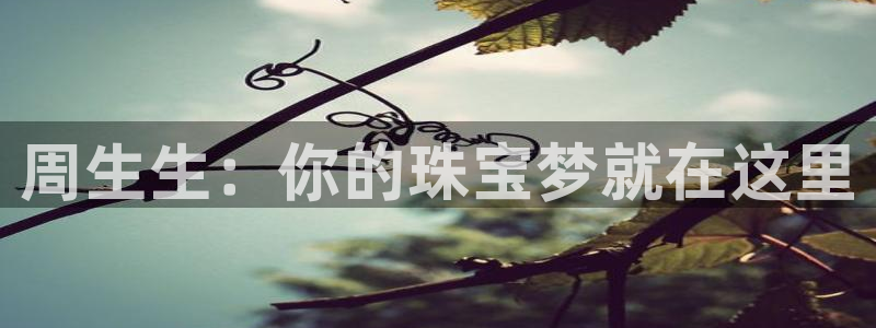 开丰娱乐优七九九47：周生生：你的珠宝梦就在这里