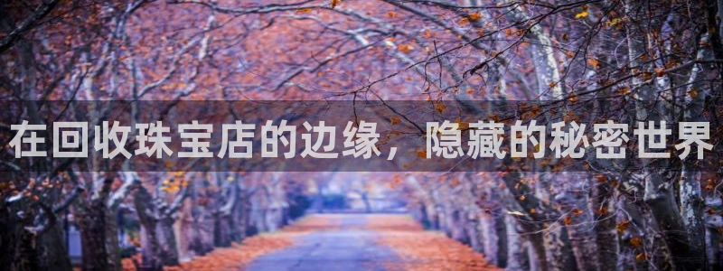 开丰娱乐登陆：在回收珠宝店的边缘，隐藏的秘密世界