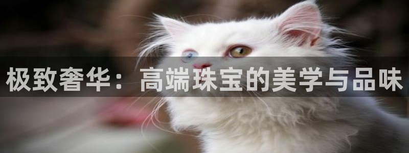 开丰娱乐网站官网：极致奢华：高端珠宝的美学与品味