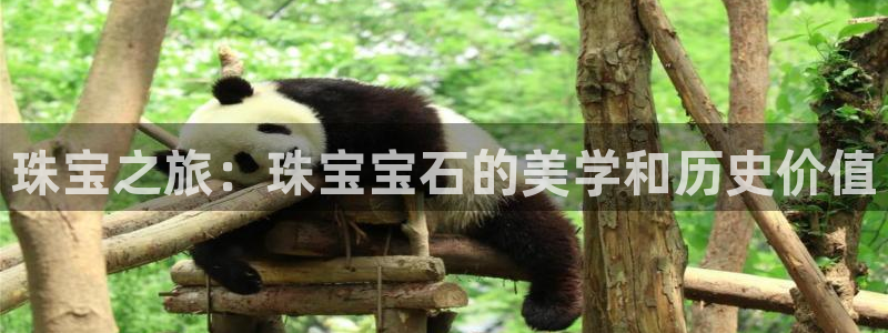 开丰娱乐登录：珠宝之旅：珠宝宝石的美学和历史价值