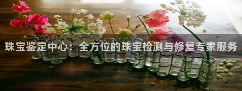 开丰娱乐月：珠宝鉴定中心：全方位的珠宝检测与修复专家服务