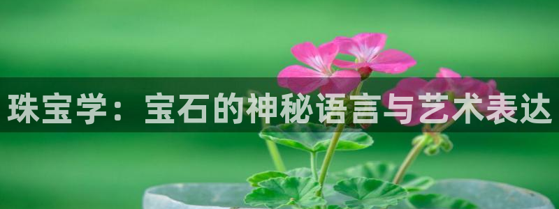 开丰娱乐官方app：珠宝学：宝石的神秘语言与艺术表达