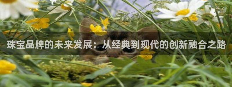 开丰娱乐平台注册地址：珠宝品牌的未来发展：从经典到现代的创新融合之路