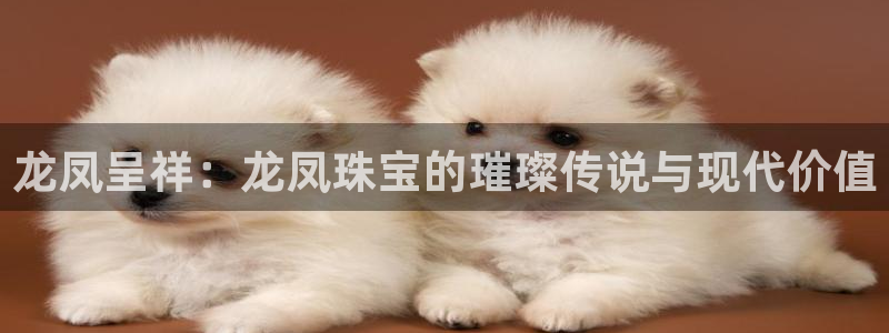 开丰娱乐注册资金多少：龙凤呈祥：龙凤珠宝的璀璨传说与现代价值