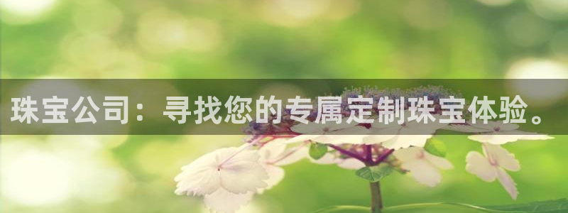 圩丰刚开的娱乐场所：珠宝公司：寻找您的专属定制珠宝体验。