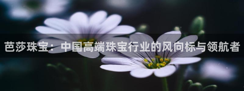 开丰娱乐与六七五一38：芭莎珠宝：中国高端珠宝行业的风向标与领航者