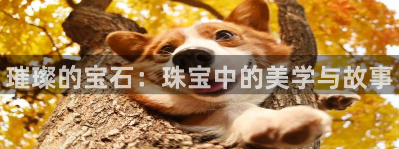 开丰娱乐网官网注册入口：璀璨的宝石：珠宝中的美学与故事