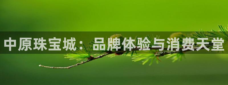 开丰娱乐登入地址是什么：中原珠宝城：品牌体验与消费天堂
