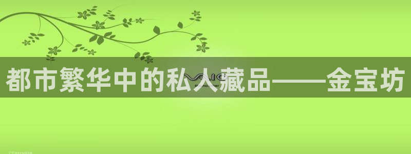 开丰娱乐万六七五一38：都市繁华中的私人藏品——金宝坊