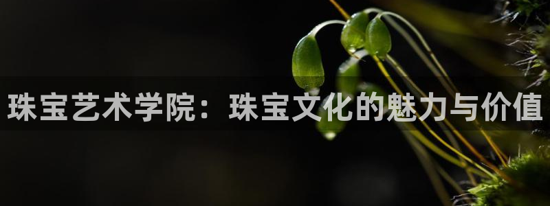 开丰娱乐平台提现失败：珠宝艺术学院：珠宝文化的魅力与价值