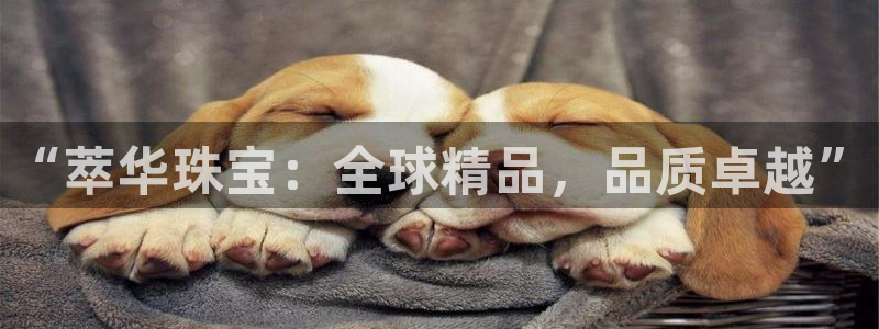 开丰娱乐科技：“萃华珠宝：全球精品，品质卓越”