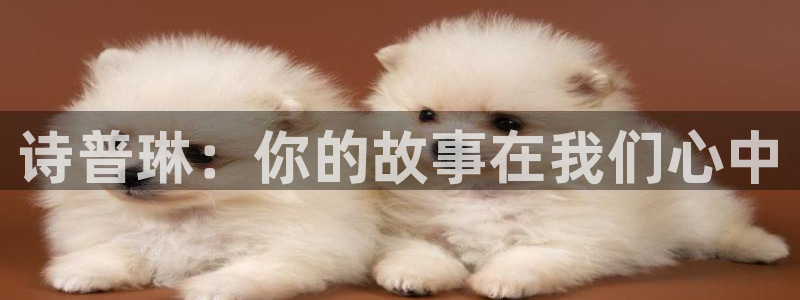 开丰娱乐2登录：诗普琳：你的故事在我们心中