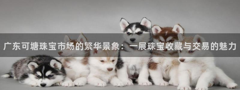 开丰娱乐登入地址在哪里：广东可塘珠宝市场的繁华景象：一展珠宝收藏与交易的魅力