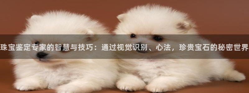 下载开丰娱乐：珠宝鉴定专家的智慧与技巧：通过视觉识别、心法，珍贵宝石的秘密世界