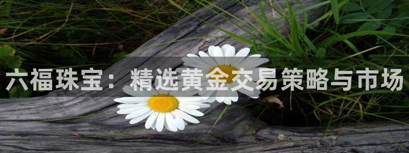 开丰娱乐官网平台网址：六福珠宝：精选黄金交易策略与市场