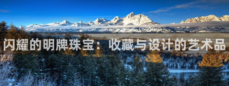 如何注册开丰娱乐账号：闪耀的明牌珠宝：收藏与设计的艺术品