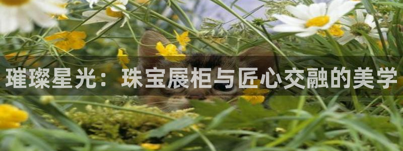 开丰娱乐平台地址在哪里：璀璨星光：珠宝展柜与匠心交融的美学