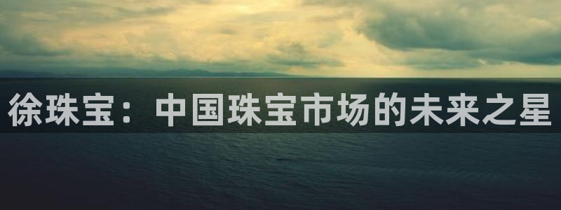 开丰娱乐平台地址在哪里：徐珠宝：中国珠宝市场的未来之星