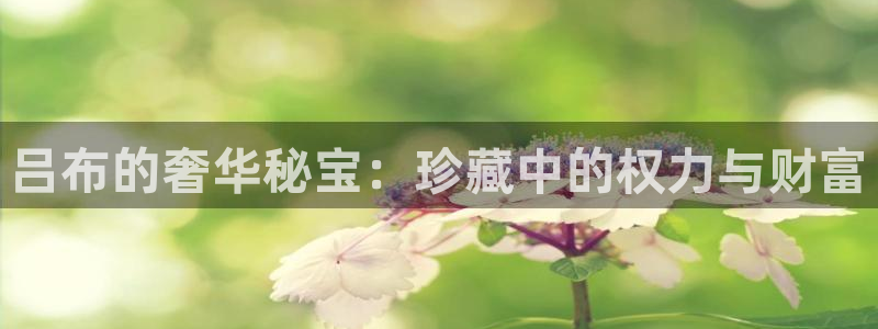 开丰娱乐平台官网网址：吕布的奢华秘宝：珍藏中的权力与财富