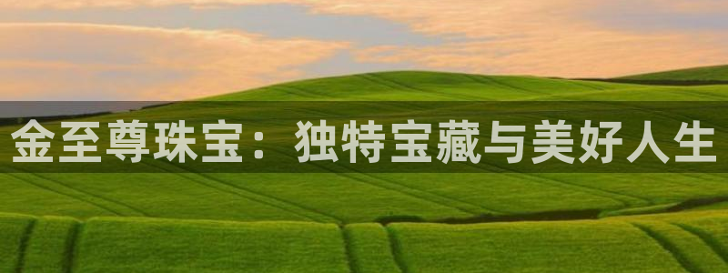 开丰娱乐月：金至尊珠宝：独特宝藏与美好人生