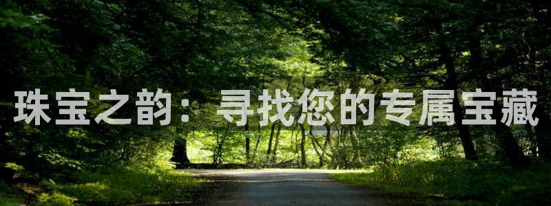 开丰娱乐新登录平台：珠宝之韵：寻找您的专属宝藏