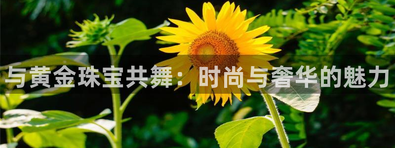 开丰娱乐咋7O777：与黄金珠宝共舞：时尚与奢华的魅力