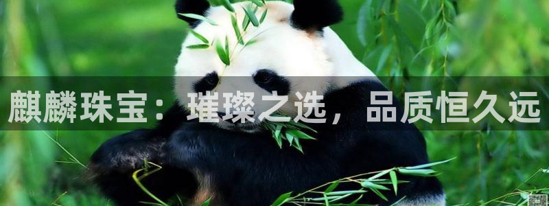 开丰娱乐平台：麒麟珠宝：璀璨之选，品质恒久远