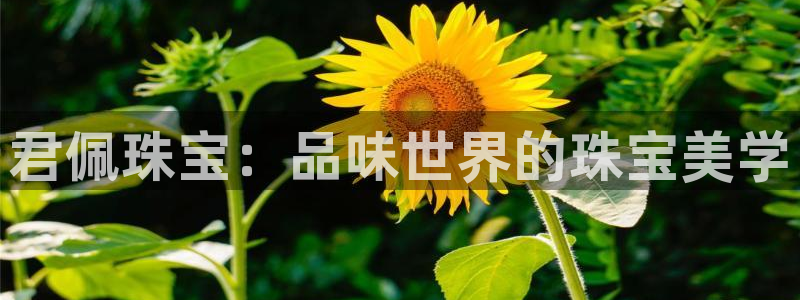 开丰娱乐若七九九：君佩珠宝：品味世界的珠宝美学